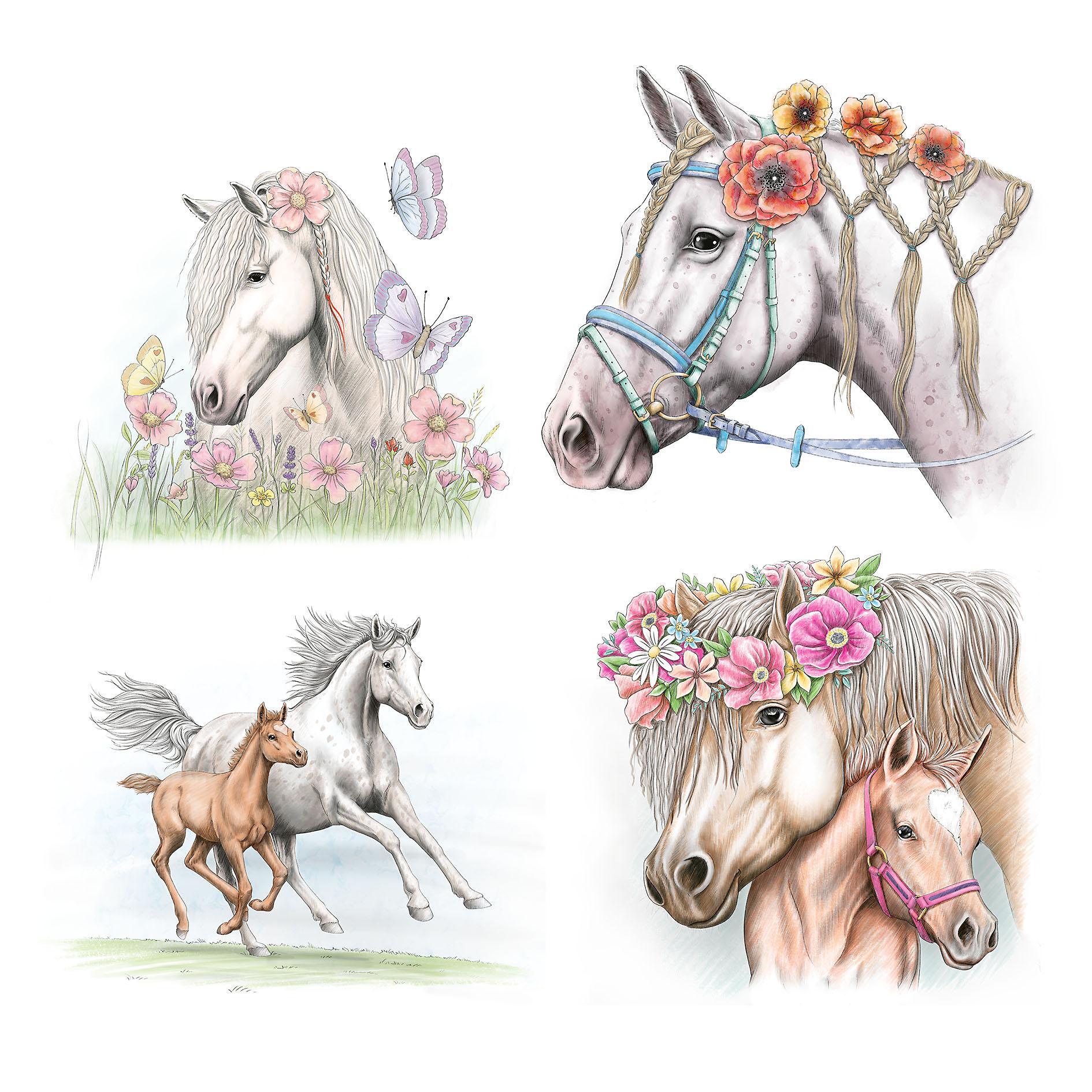 Depesche Miss Melody Special kleurboek