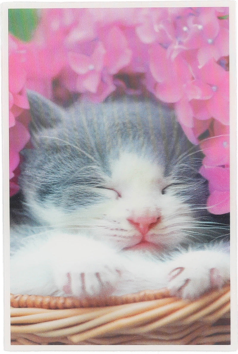 ohne Text - Katze Depesche