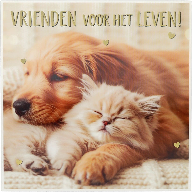 Vrienden voor het leven!