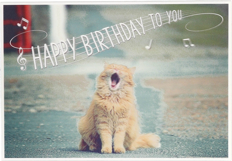 Happy Birthday to you Depesche