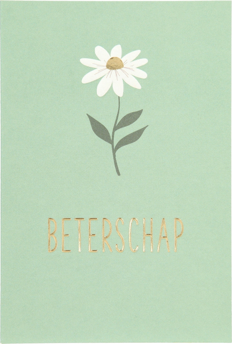 Beterschap Depesche