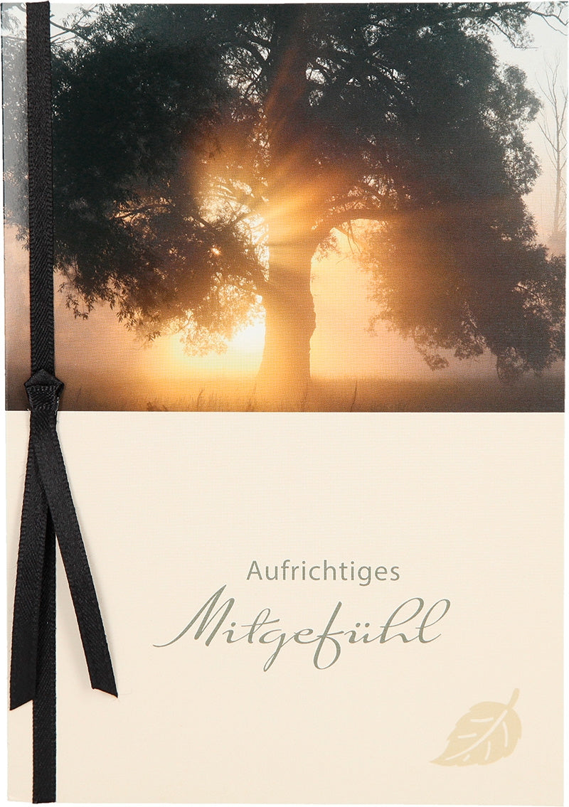 Aufrichtiges Mitgefühl Depesche