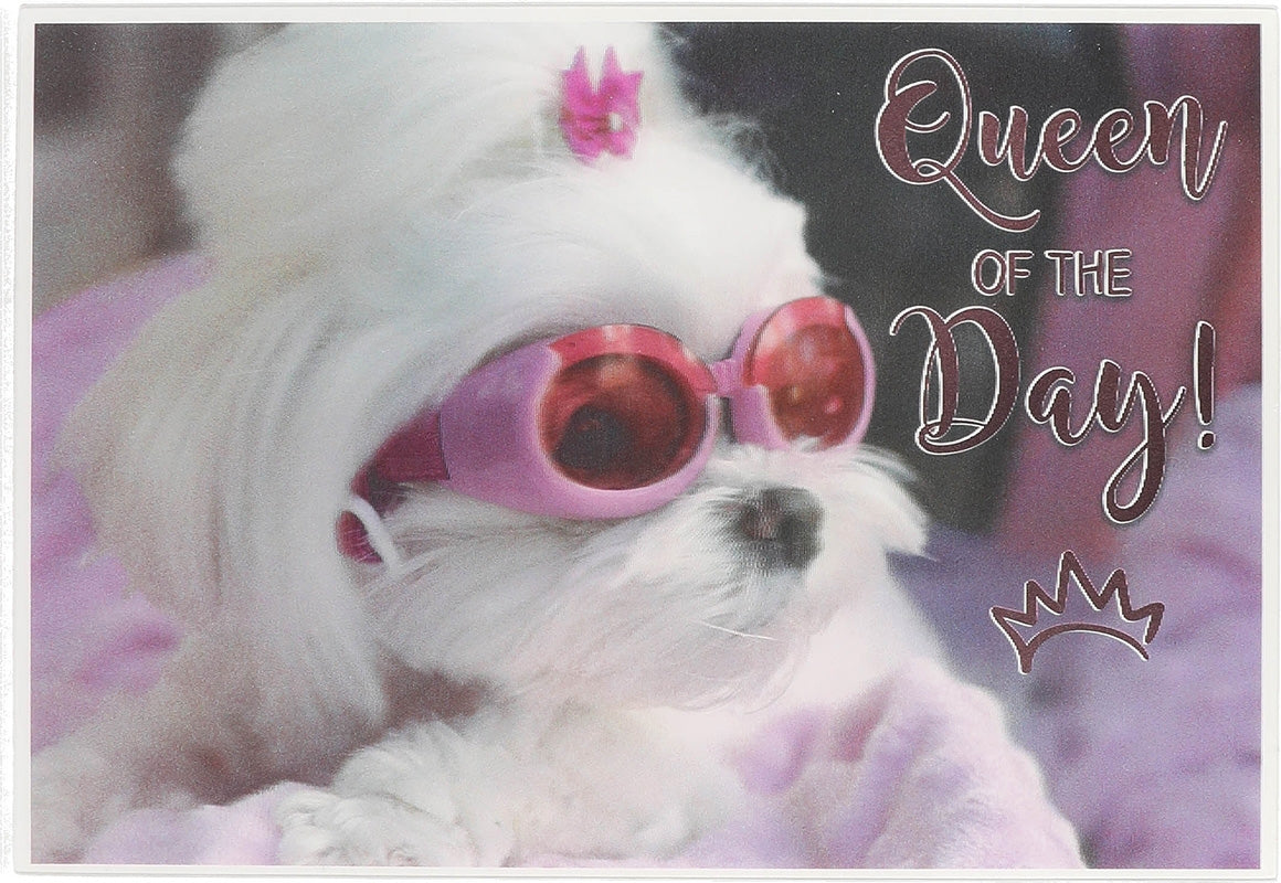 Queen of the day! Depesche