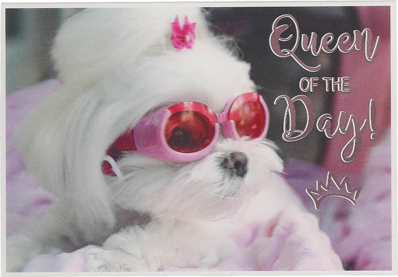Queen of the Day! Depesche