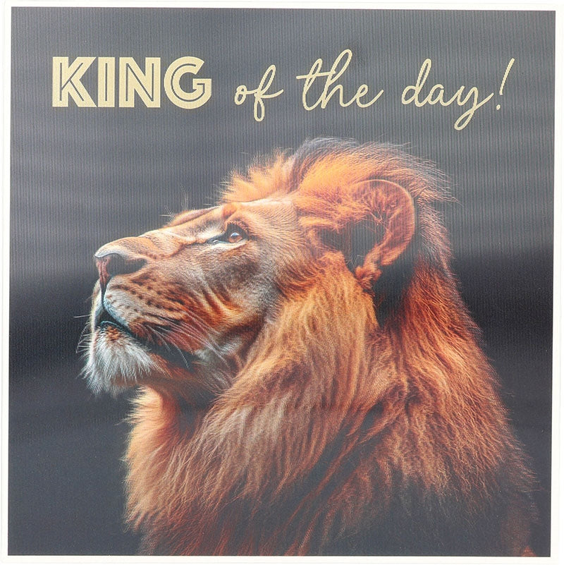 King of the day! Depesche