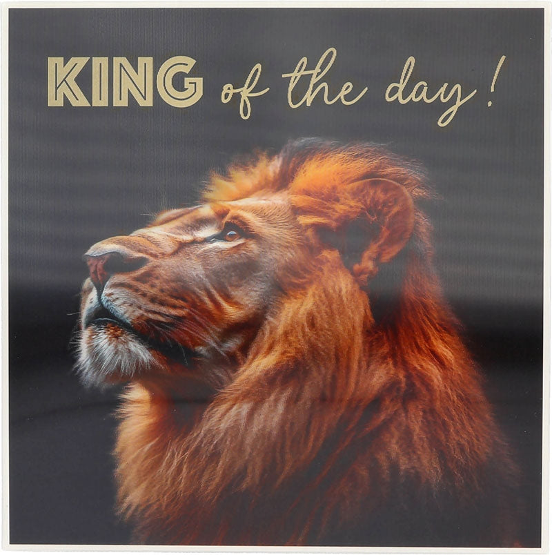 King of the day!