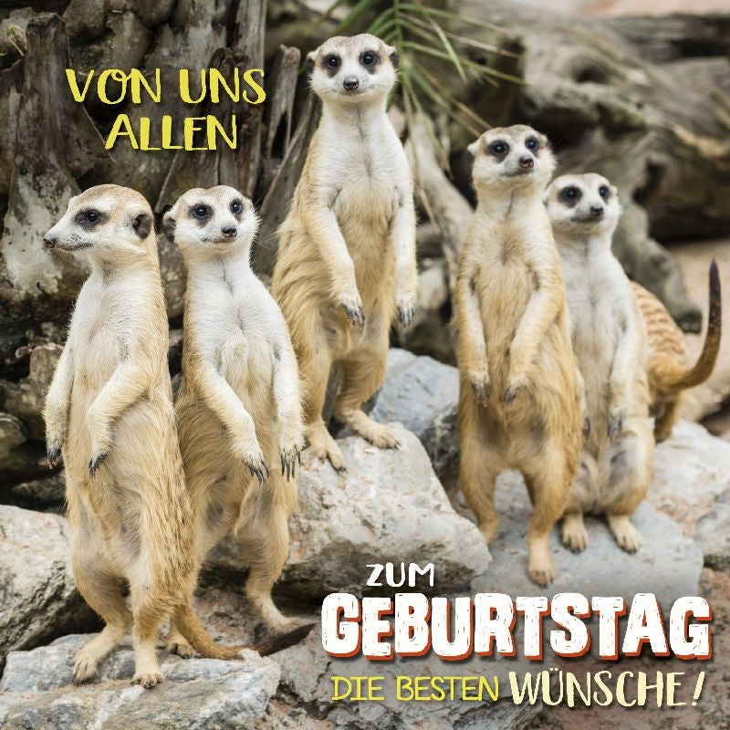 Von uns allen! Zum Geburtstag die besten Depesche