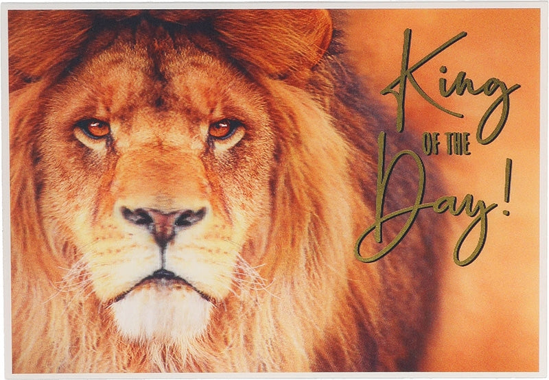 King of the Day! Depesche