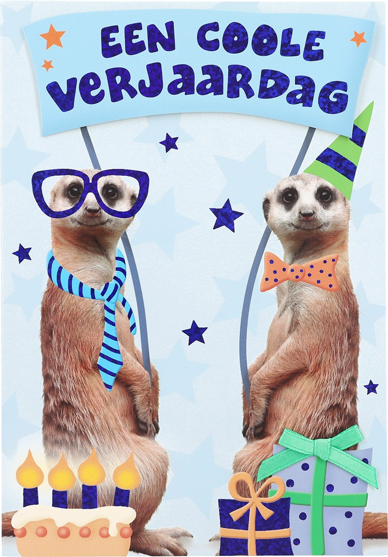 Een coole verjaardag Depesche