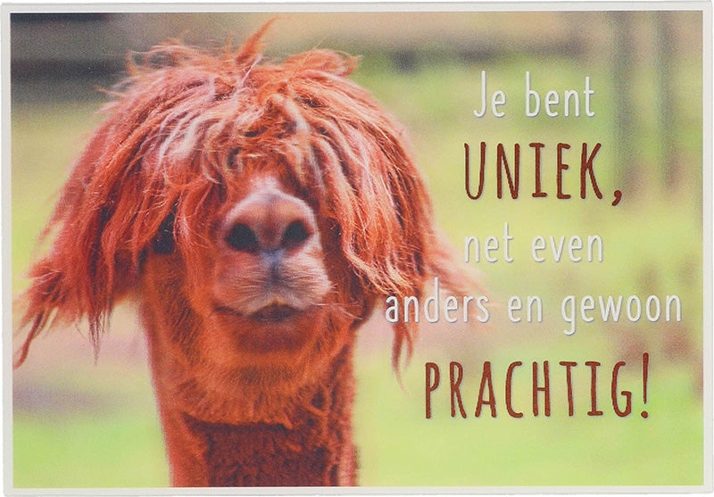 Je bent uniek, net even anders en... Depesche