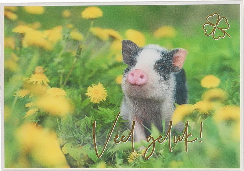 Veel geluk! Depesche
