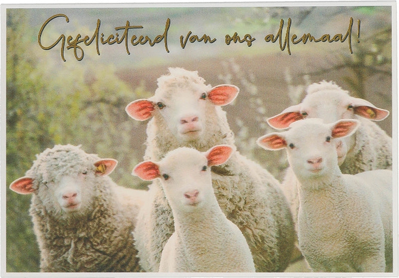 Gefeliciteerd van ons allemaal! Depesche