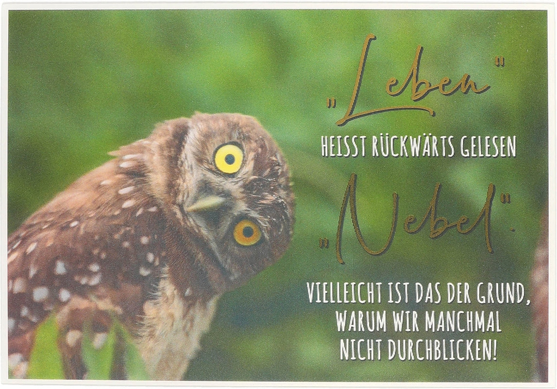 Leben heißt rückwärts gelesen Nebel, ... Depesche