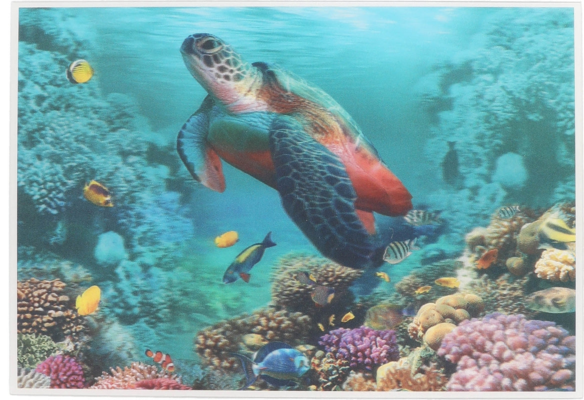 ohne Text - Schildkröte im Wasser Depesche
