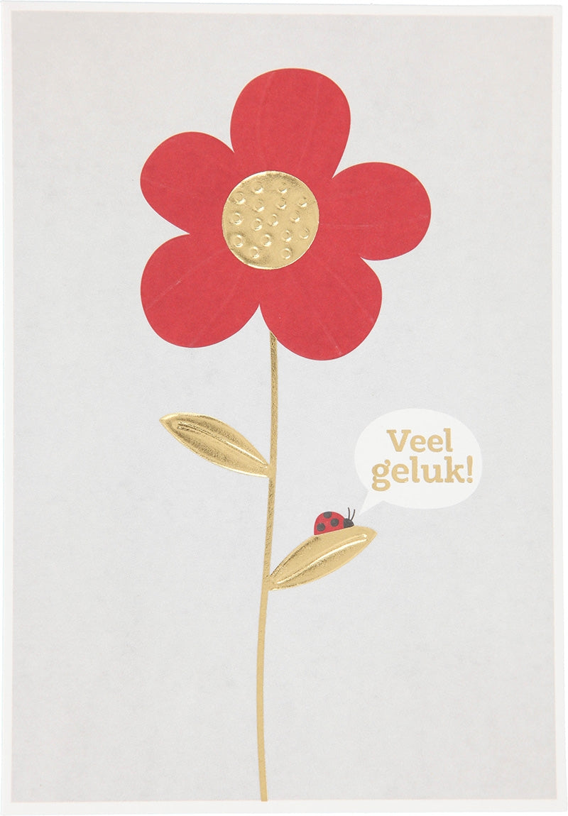 Veel geluk! Depesche