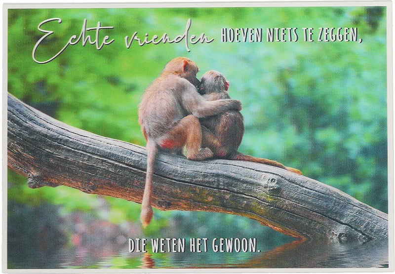 Echte vrienden hoeven niets te zeggen... Depesche