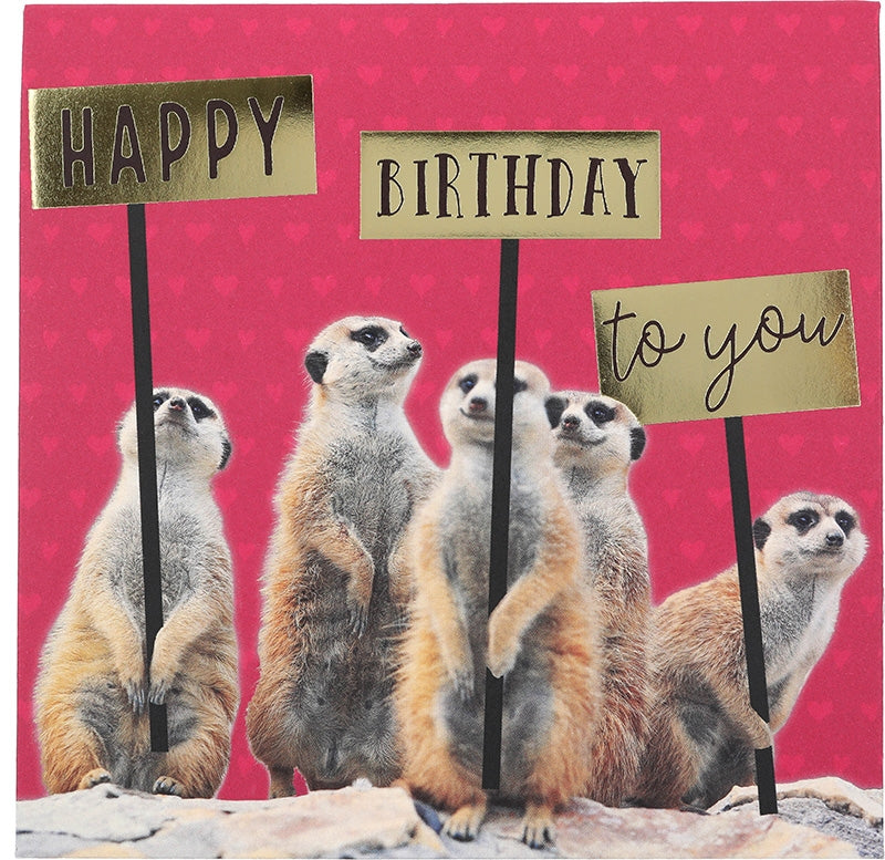 Happy Birthday to you